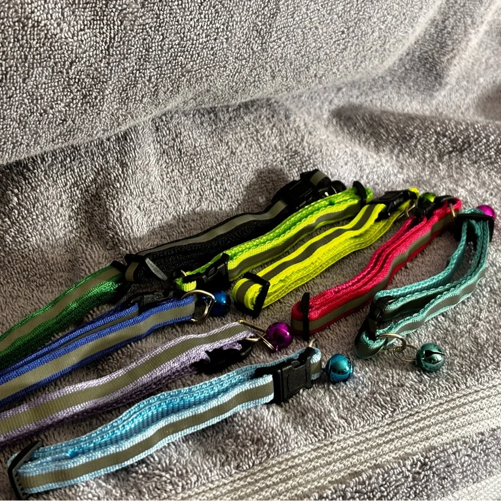 Puppy or cat collars